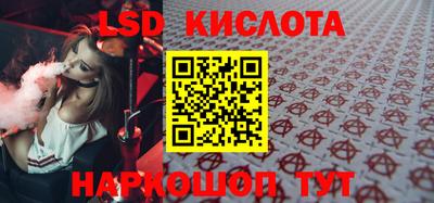 прущие грибы Новозыбков