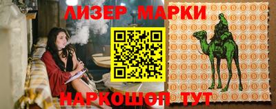 прущие грибы Новозыбков