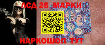 прущие грибы Новозыбков