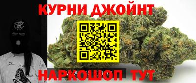 прущие грибы Новозыбков