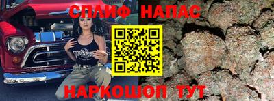 прущие грибы Новозыбков
