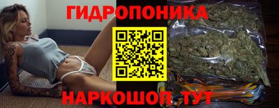 прущие грибы Новозыбков