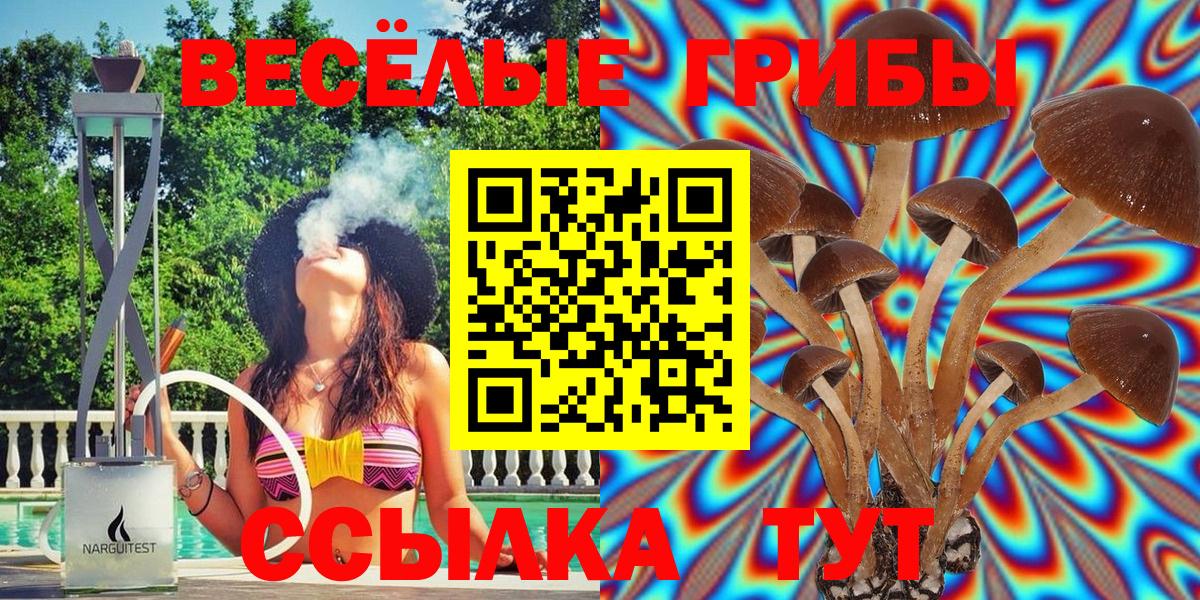 Полевской  купить  сайты  Вход с VPN  Псилоцибиновые грибы MAGIC MUSHROOMS 